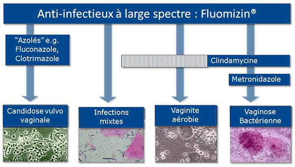 schema_antibiotiques