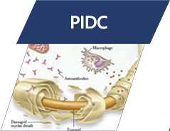 Polyradiculonévrite Inflammatoire Démyélinisante Chronique (PIDC)